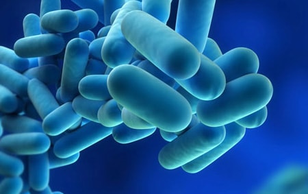 What is legionnaire's disease & legionella?